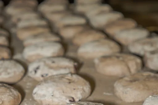 Panes redondos de masa madre con pasas, enharinados y en plena fermentación